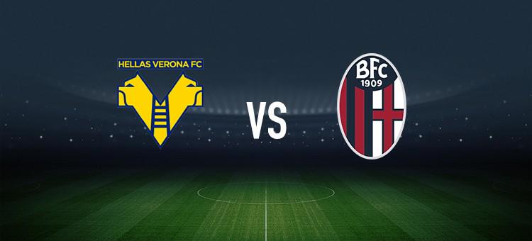 的商业蓝图 的商业蓝图